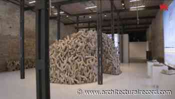 Venice Architecture Biennale Honors UAE Pavilion with Golden Lion - Architectural Record