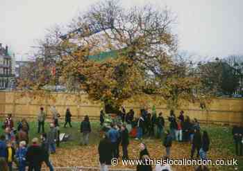 JD Wetherspoon boosted hopes of iconic Wanstead tree campaigners a decade ago