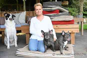 Ria Smits ontwerpt comfortkussens voor honden en katten - Het Nieuwsblad