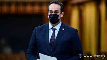 Liberals ask election watchdog to investigate allegation of Conservative collusion with gun lobby