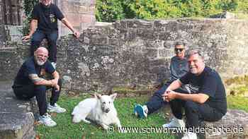 "Das Schlimmste ist die Spaltung": "Fanta 4" im Interview über Luca-App und Corona-Krise