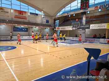 Buona prestazione per la Sutor Montegranaro contro la Vigor Matelica - Serie B - Basketmarche.it
