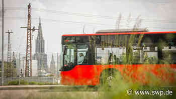 Nahverkehr Ulm : Bahnfahren wird teurer: DING erhöht die Preise - SWP