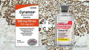 Added Anti-VEGFR2 Antibody Boosts Survival in Mesothelioma