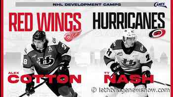 Two Hurricanes headed to NHL Rookie Camps - Lethbridge News Now