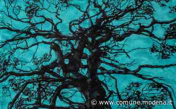 Andrea Chiesi "Natura Vincit". La mostra e il libro - Comune di Modena