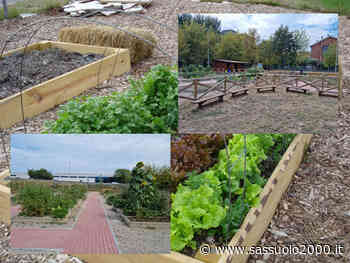 Giovedì 9 settembre inaugurazione degli orti di viale Gramsci a Modena - sassuolo2000.it - SASSUOLO NOTIZIE - SASSUOLO 2000