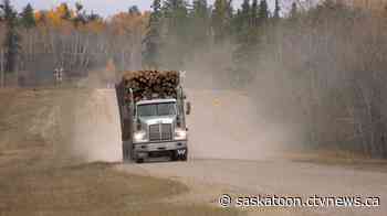 Province approves timber allocation for northern Sask. mill expected to create 700 jobs