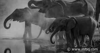 Amazon Aurora Supports PostgreSQL 13 - InfoQ.com