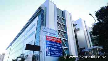 Covid 19 coronavirus Delta outbreak: Auckland DHB getting 600 visitors daily, alleged sex with patient - New Zealand Herald