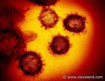 With Ohio coronavirus deaths surpassing 21,000, see which counties have had the highest deaths since August - cleveland.com