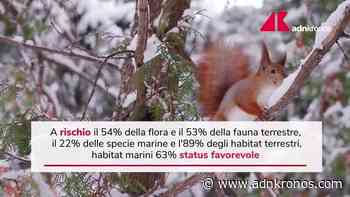 Clima, a rischio habitat marini e terrestri: allarme Ispra - Adnkronos