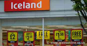 Iceland boss issues warning on food price hike amid 'crisis' - Wales Online