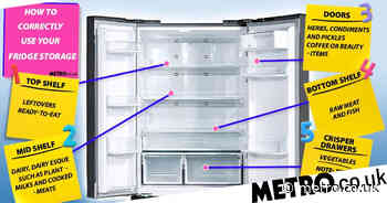 Cleaning guru shares fridge storage tutorial to make your food shop last longer - Metro.co.uk