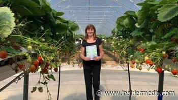 High tech food production initiative launched | Wales - Insider Media