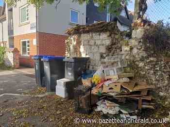 Amesbury trader prosecuted for fly tipping rotten food | The Wiltshire Gazette and Herald - The Wiltshire Gazette and Herald