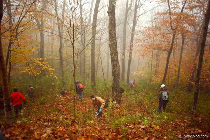 Plattekill Tree Skiing Work Day 2021