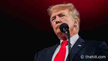 Trump rips removal of Robert E. Lee statue: 'Complete desecration'