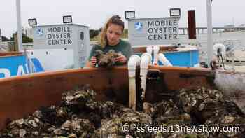 Chesapeake Bay Foundation completes annual restoration efforts