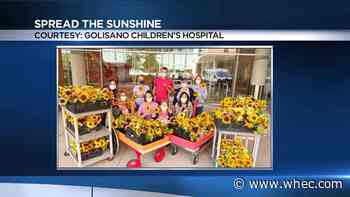 Wickham Farms 'Spreads the Sunshine' at Golisano Children&rsquo;s Hospital