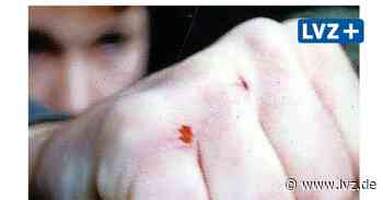 Prozessauftakt zu brutalem Überfall auf Haus in Oschatz - Leipziger Volkszeitung