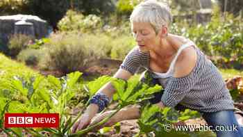 Triple lock pension pledge suspended for one year