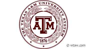 Texas A&M System Hire Means The Flagship Has Its Second Interim Provost - WTAW
