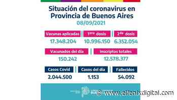 Situación de coronavirus en Provincia de Buenos Aires 08/09/2021 - El Fenix Digital
