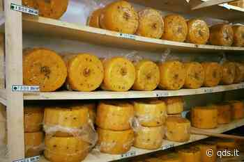 Enna, fra turismo, food e market il territorio studia il rilancio - Quotidiano di Sicilia