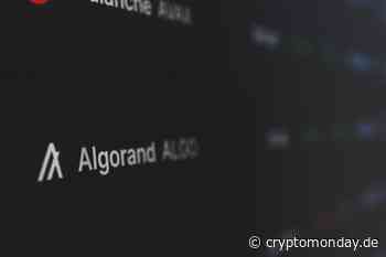 Algorand Preisprognose: ALGO widersetzt sich dem negativen Trend - CryptoMonday | Bitcoin & Blockchain News | Community & Meetups