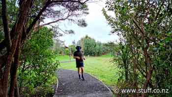 Auckland's marathon Covid-19 lockdown: running in circles, worrying we'll never catch up - Stuff.co.nz