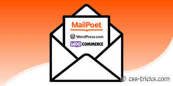 Building Your Own Subscription Newsletter