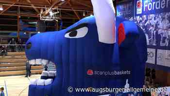 Firma Scanplus aus Ulm ist insolvent: Was geschieht mit den Baskets?