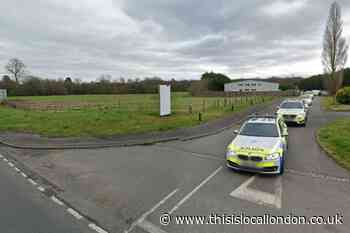 Carshalton woman dies after crash at Crawley Down