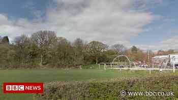 Halton park attack: Boy arrested after child sexually assaulted