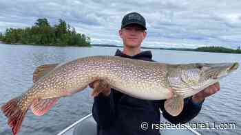 BIG FISH! DNR certifies new catch-and-release records for northern pike, muskie
