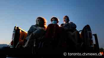 TIFF begins today. From drive-ins to digital screenings, how to take it in
