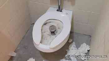 Vandalism at Tecumseh Optimist Park closes washrooms - CTV News Windsor