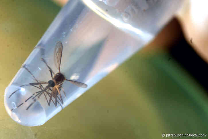 First Human Case Of West Nile Virus Detected In Allegheny County Since 2018