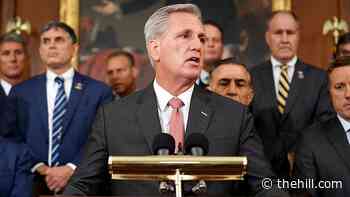 GOP leader taking proxy voting fight to Supreme Court