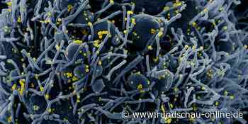 Corona im Kreis Euskirchen: 20 neue Infektionen – Inzidenz steigt auf 99,8 - Kölnische Rundschau