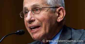 Congressman: Fauci Must Resign Now That 'Smoking Gun' Documents Prove 'He Lied to the American People'