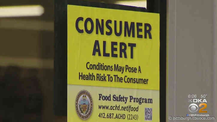 Sharpsburg Dollar General Slapped With Another Consumer Alert Over Mouse Infestation