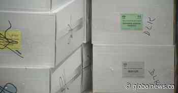 City auditor OKs Elections Calgary’s 2021 plans