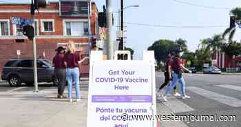 Moderna Is Developing a Single-Dose Vaccine That Combines COVID-19 and Flu Boosters