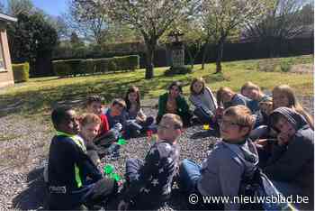 Leerlingen Daltonschool trekken terug naar school in de natuur - Het Nieuwsblad