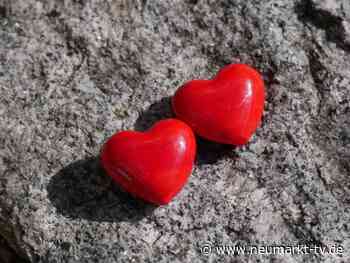 Damit die Liebe nicht auf der Strecke bleibt: Partnerschule im Schloss Hirschberg - Neumarkt TV