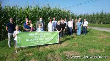Vier voetbalvelden in achtertuin: Alkense buurt vreest wate... (Alken) - Het Nieuwsblad