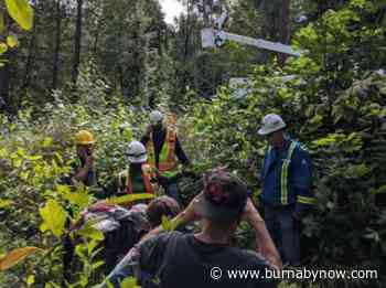 Protesters block TMX tree cutting in Burnaby forest - Burnaby Now