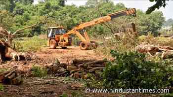 Uttarakhand forest dept files case against 4 PWD engineers for felling trees in Champawat - Hindustan Times